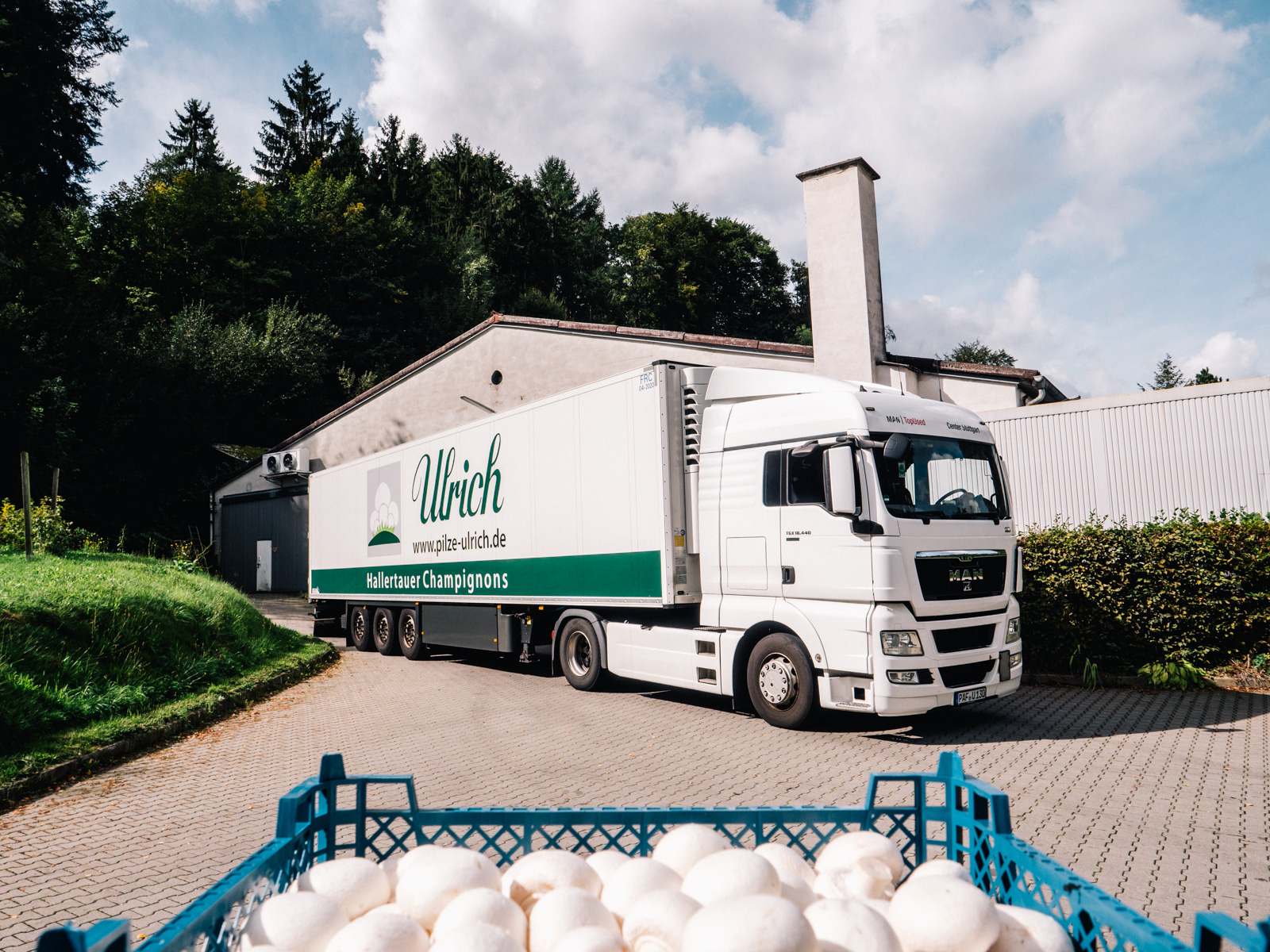 Ulrich LKW mit Pilzen