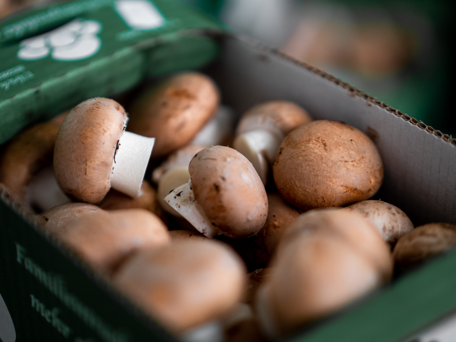 Braune Champignons